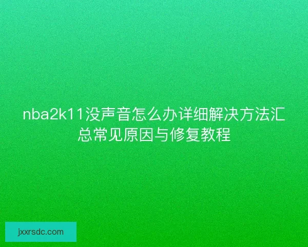 nba2k11没声音怎么办详细解决方法汇总常见原因与修复教程