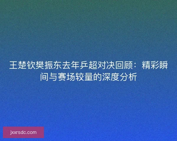 王楚钦樊振东去年乒超对决回顾：精彩瞬间与赛场较量的深度分析